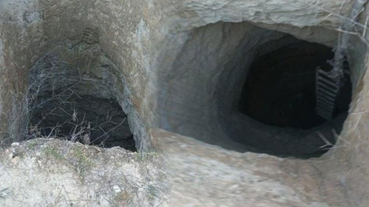 Definecilerin gözü döndü!