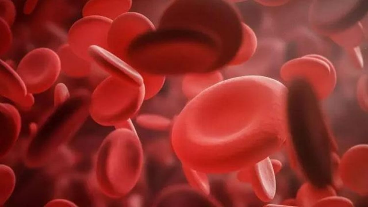 Foto - Demiri sıfırlıyor, mideyi mahvediyor! Bu ikiliden aman ha uzak durun