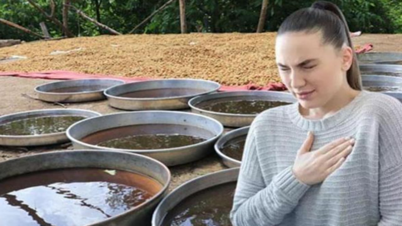 Demiri sıfırlıyor, mideyi mahvediyor! Bu ikiliden aman ha uzak durun