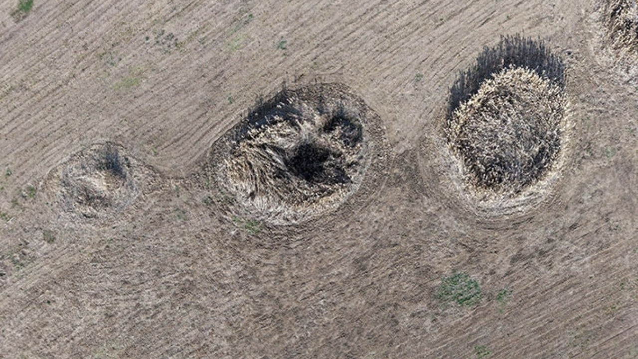Foto - Demirköprü Barajı'nda suyun yerini yosun aldı!