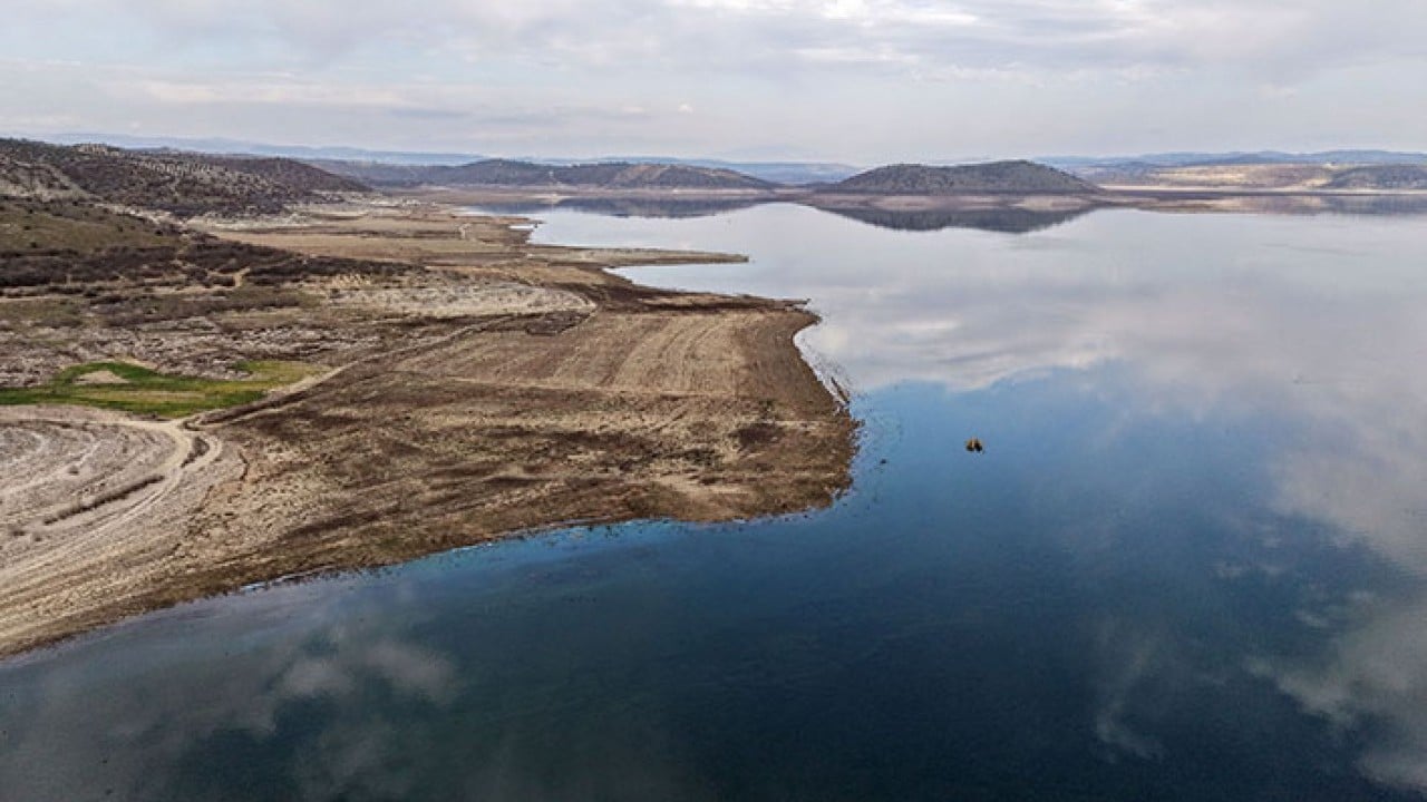 Foto - Demirköprü Barajı'nda suyun yerini yosun aldı!