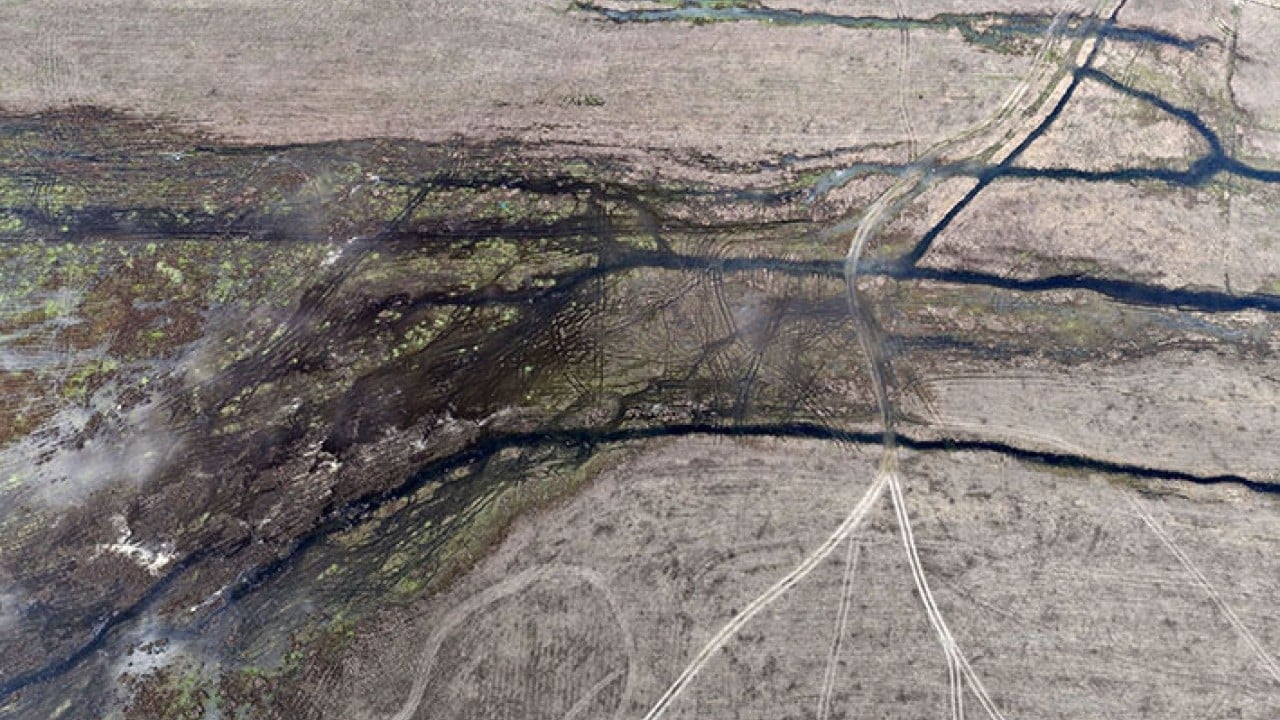 Foto - Demirköprü Barajı'nda suyun yerini yosun aldı!