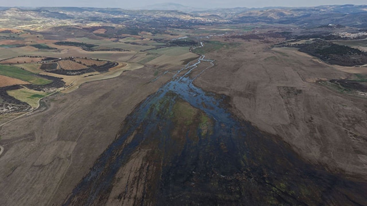 Foto - Demirköprü Barajı'nda suyun yerini yosun aldı!