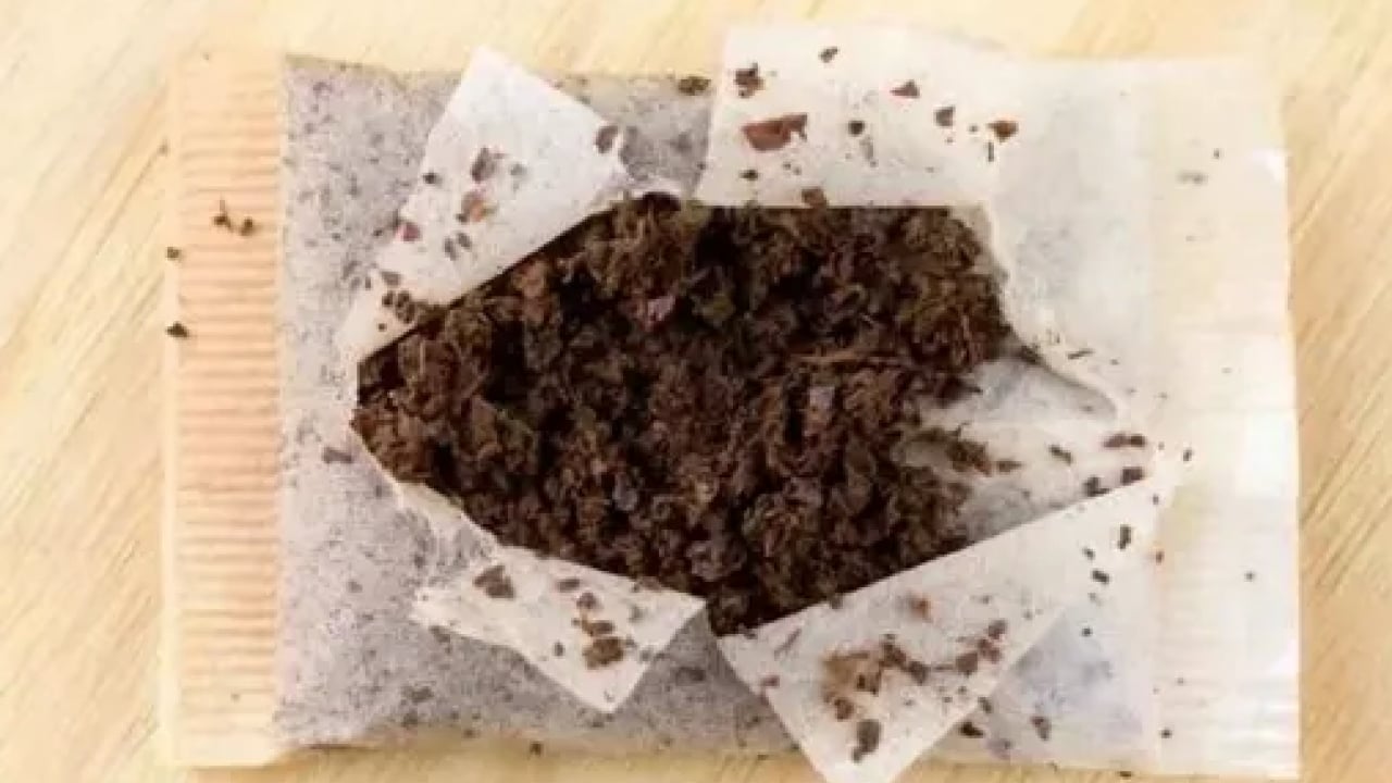 Demlikte kalan çay yaprakları meğerse... Milyonlarca kişi çöpe döküyor maalesef!..