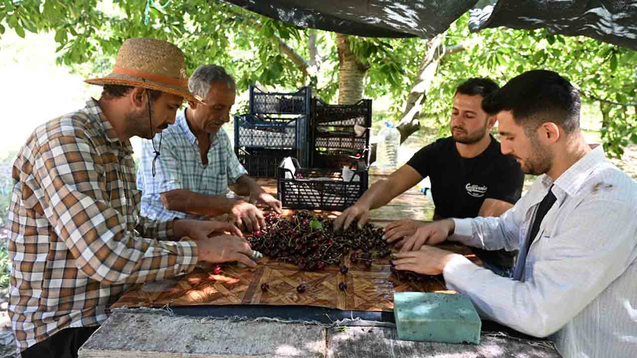 Foto - Deneme aşılamasıyla başladı: Avrupa sofralarının vazgeçilmezi oldu