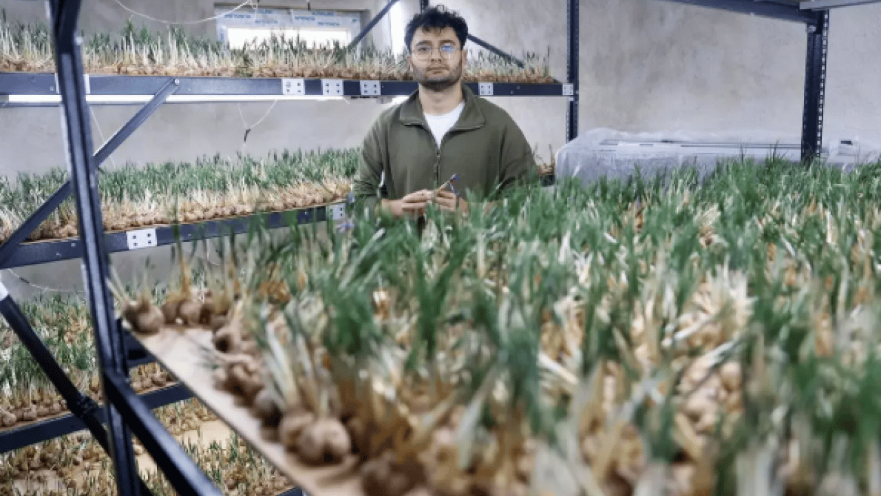 Denemek için kurdu: Kazancı 1 milyona ulaştı!