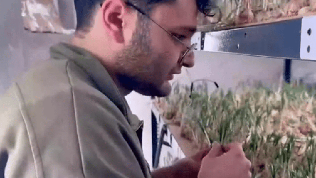 Foto - Denemek için kurdu: Kazancı 1 milyona ulaştı!