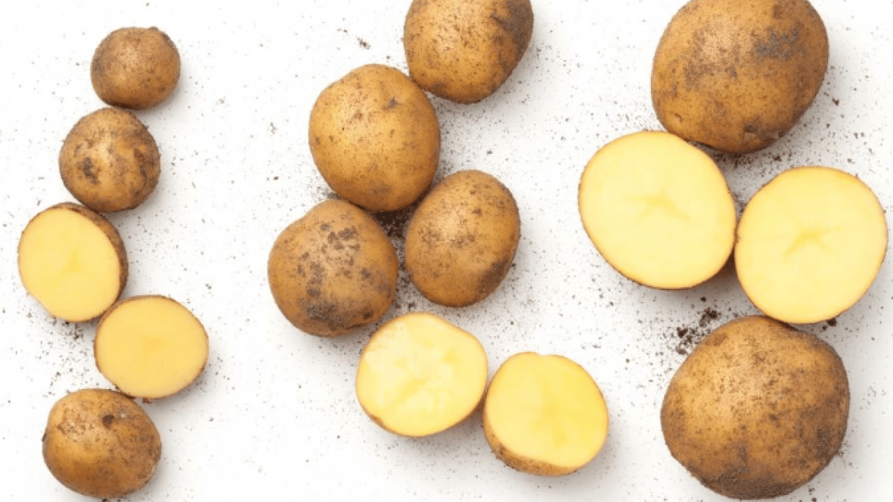 Foto - Deneyince farkını göreceksiniz! Araba camlarının buz tutmasını sağlayan yöntem