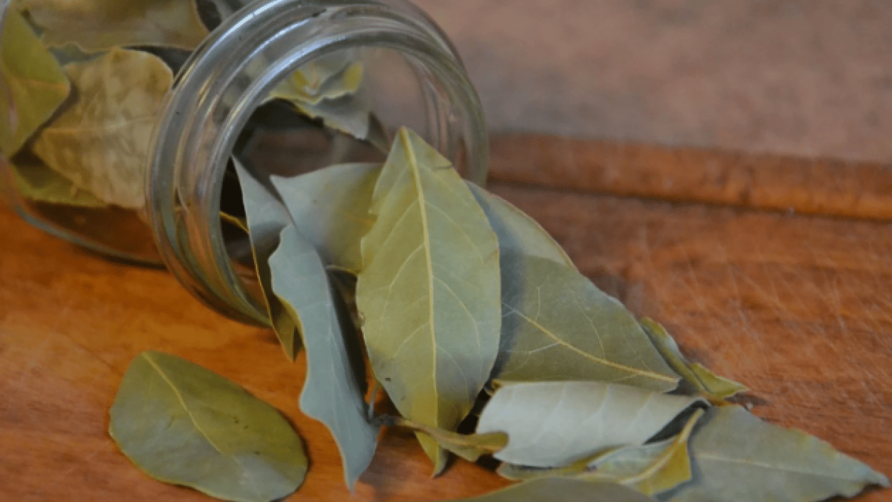 Foto - Deneyince farkını göreceksiniz! Domatesi Ramazan boyu taze tutmanın yolu