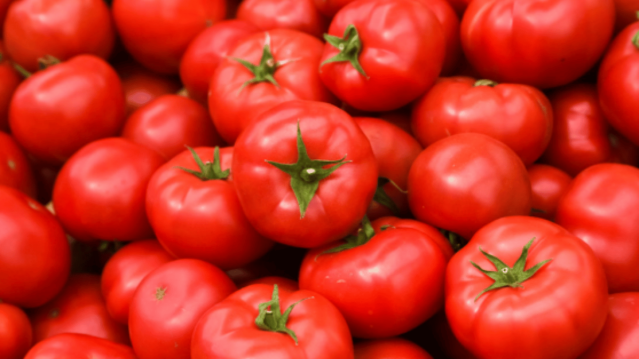 Deneyince farkını göreceksiniz! Domatesi Ramazan boyu taze tutmanın yolu
