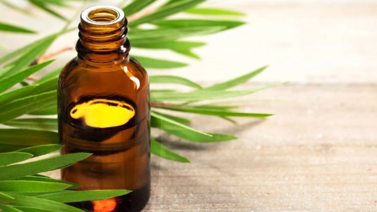 Foto - Deneyince farkını göreceksiniz! Duvardan küf ve rutubeti temizlemenin doğal yolu