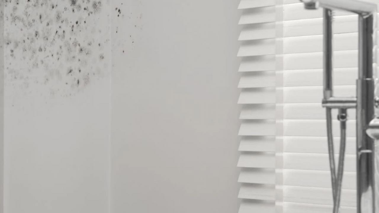 Foto - Deneyince farkını göreceksiniz! Duvardan küf ve rutubeti temizlemenin doğal yolu