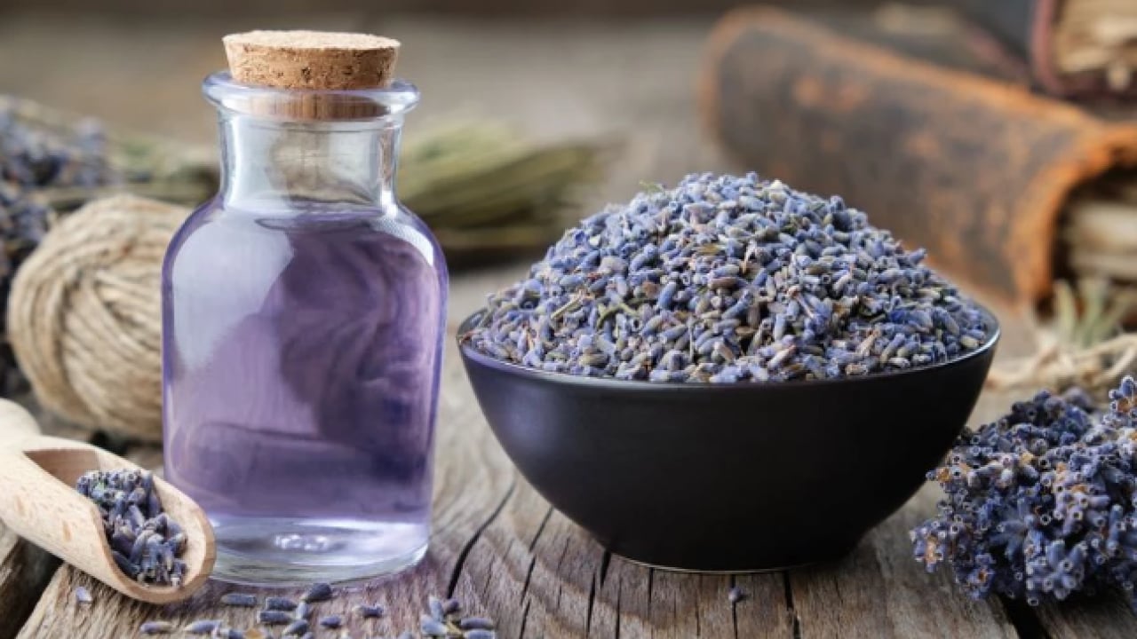 Foto - Deneyince farkını göreceksiniz! Evleri istila eden böceklerden kurtulmanın yolları