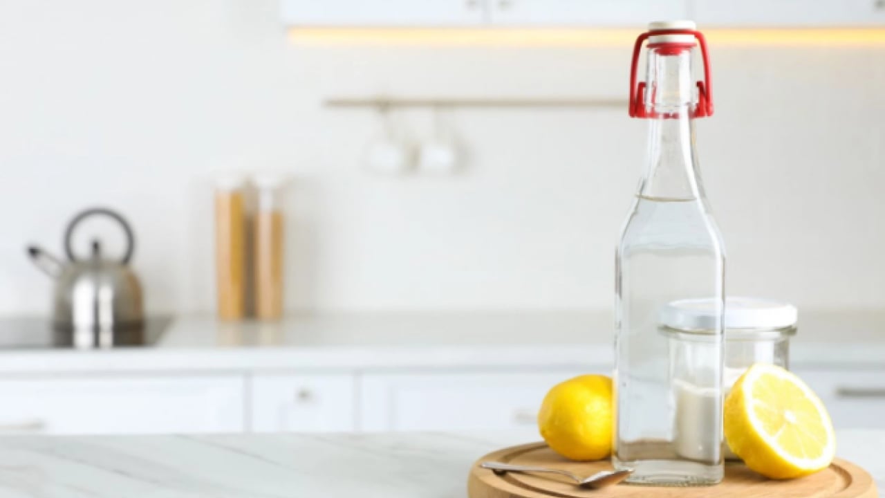 Foto - Deneyince farkını göreceksiniz! Evleri istila eden böceklerden kurtulmanın yolları