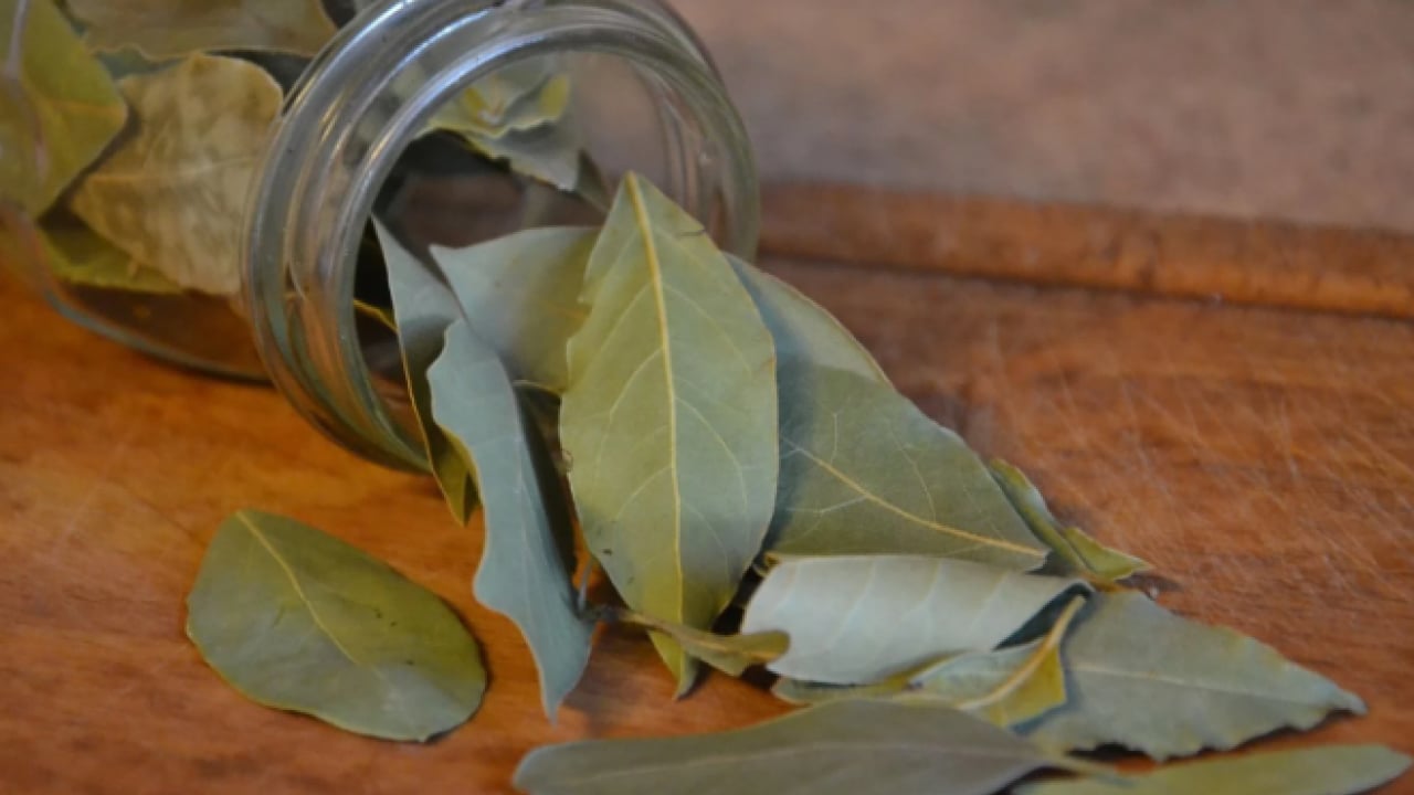 Foto - Deneyince farkını göreceksiniz! Evleri istila eden böceklerden kurtulmanın yolları
