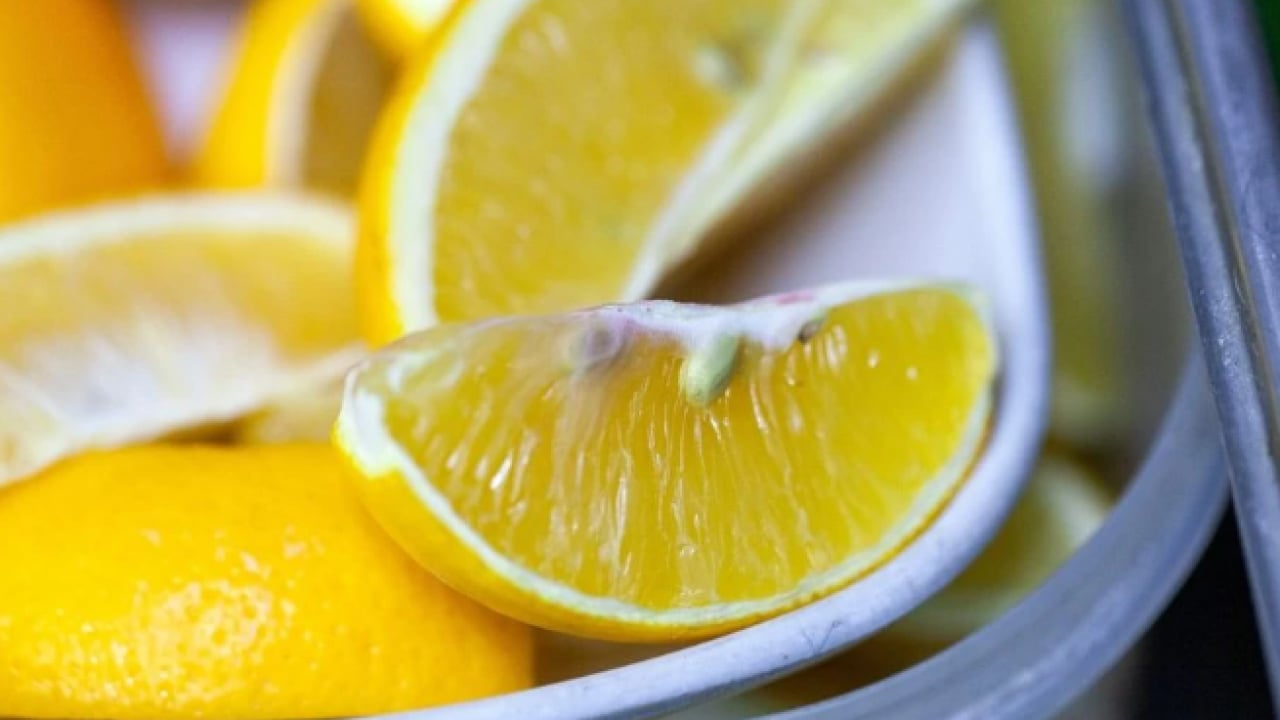 Foto - Deneyince farkını göreceksiniz! Evleri istila eden böceklerden kurtulmanın yolları