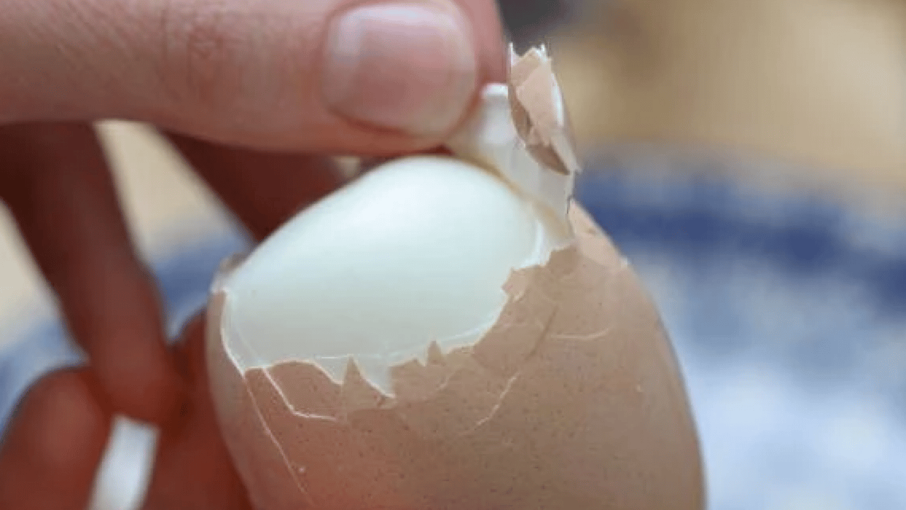 Foto - Deneyince farkını göreceksiniz! İşte haşlanmış yumurtayı soymanın basit yolu