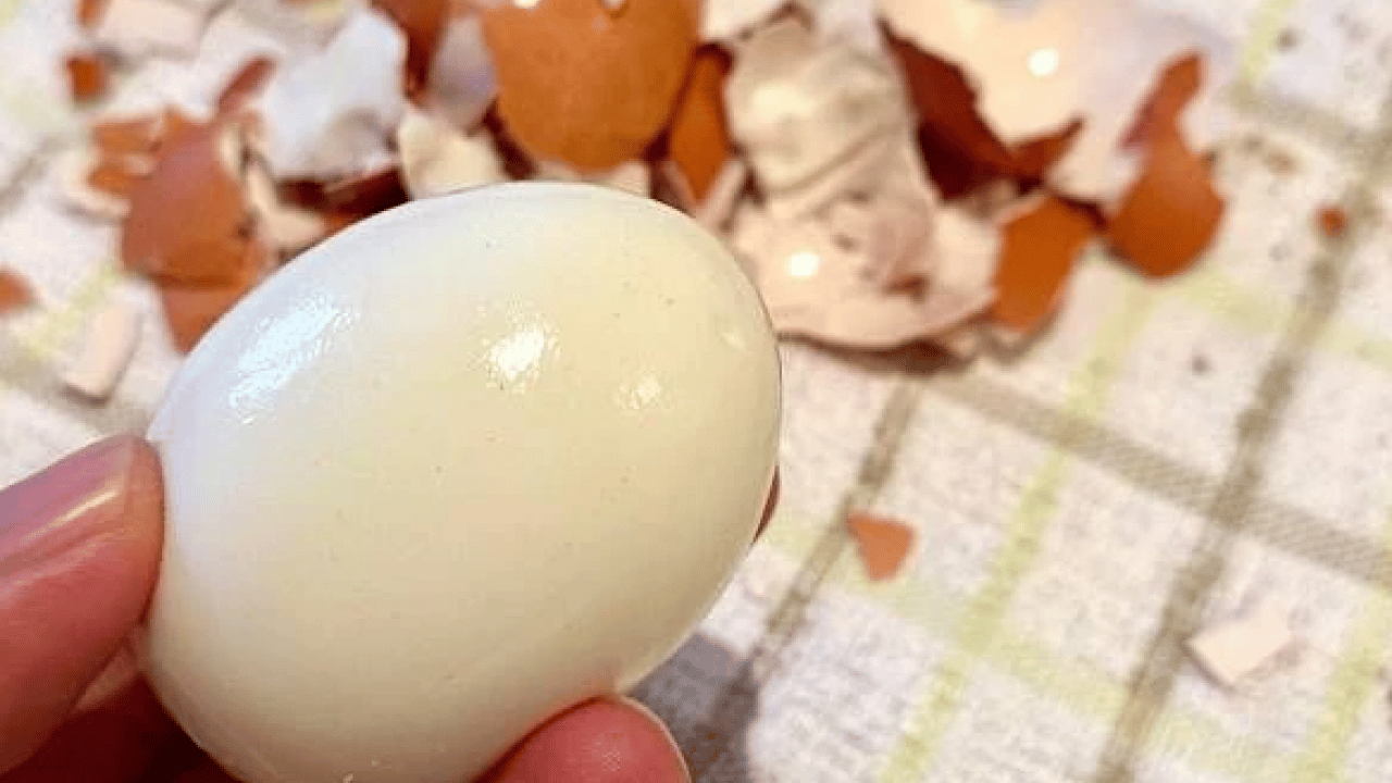 Foto - Deneyince farkını göreceksiniz! İşte haşlanmış yumurtayı soymanın basit yolu