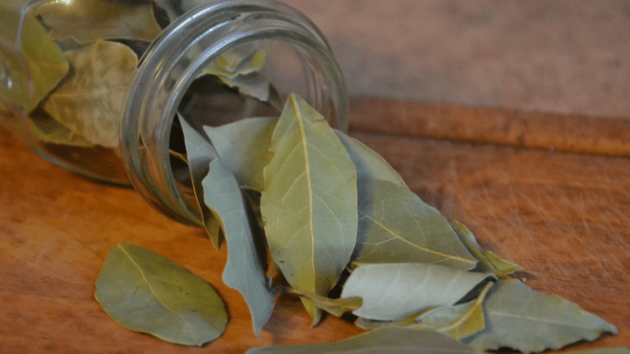 Foto - Deneyince farkını göreceksiniz! Kavanozdaki unun böceklenmesini önleyen yöntem