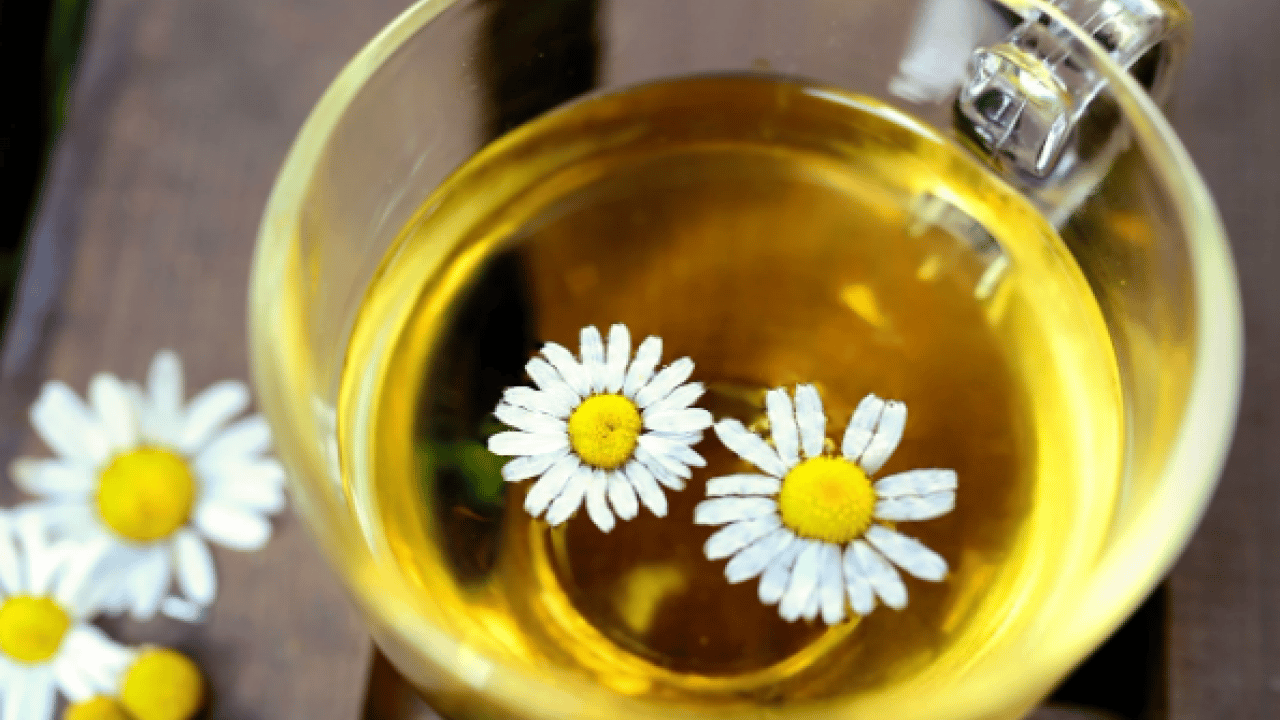 Foto - Deneyince farkını göreceksiniz! Mide bulantısından kurtulmanın doğal yolu