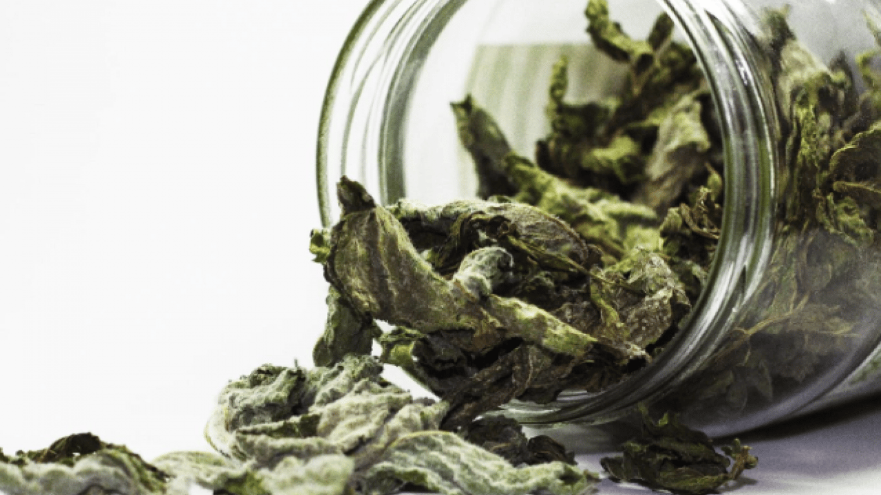 Foto - Deneyince farkını göreceksiniz! Patateslerin filizlenmesini önleyen doğal yöntem