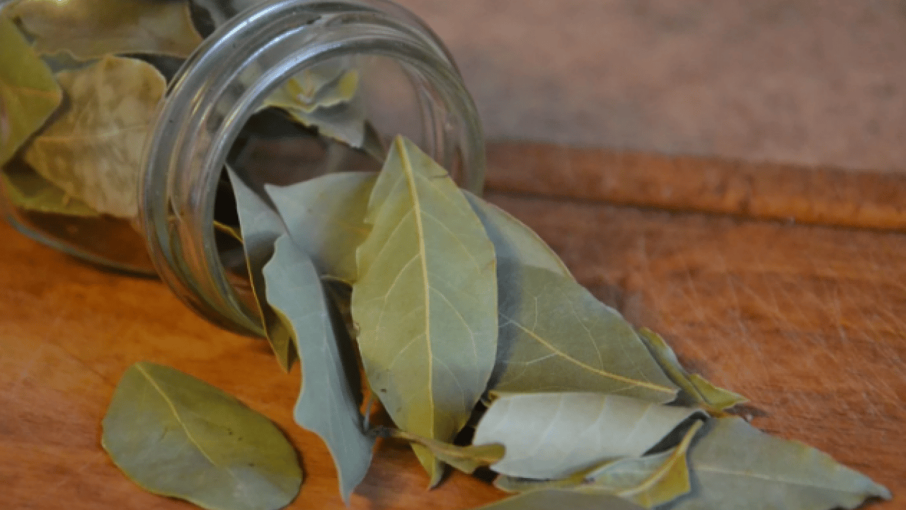 Foto - Deneyince farkını göreceksiniz! Peynirin küflenmesini önleyen yöntem açıklandı