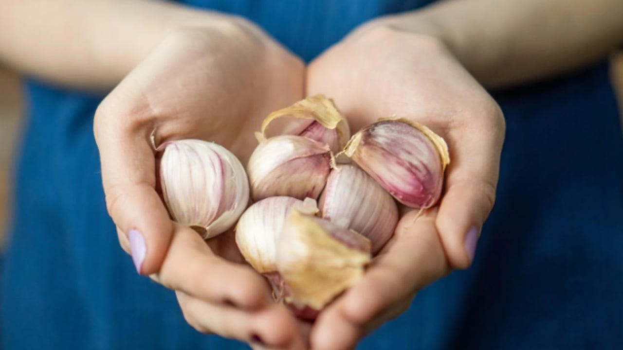 Foto - Deneyince farkını göreceksiniz! Pirincin böceklenmesini önleyen doğal yöntem