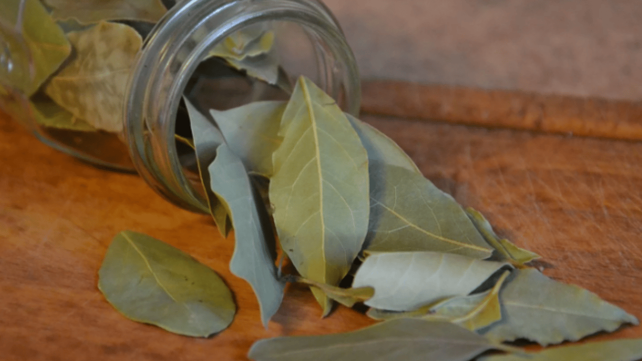 Foto - Deneyince farkını göreceksiniz! Pirincin böceklenmesini önleyen doğal yöntem