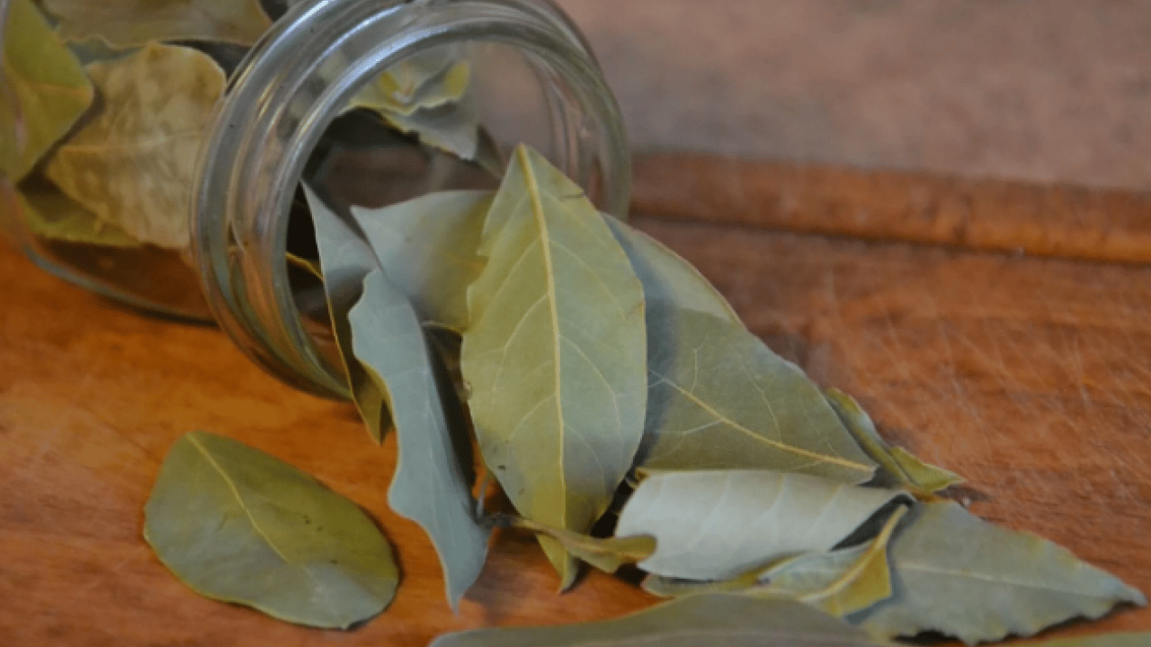 Foto - Deneyince farkını göreceksiniz! Sarımsakları aylarca taze saklamanın yolu