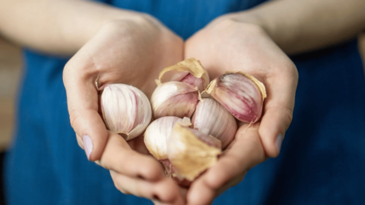 Deneyince farkını göreceksiniz! Sarımsakları aylarca taze saklamanın yolu