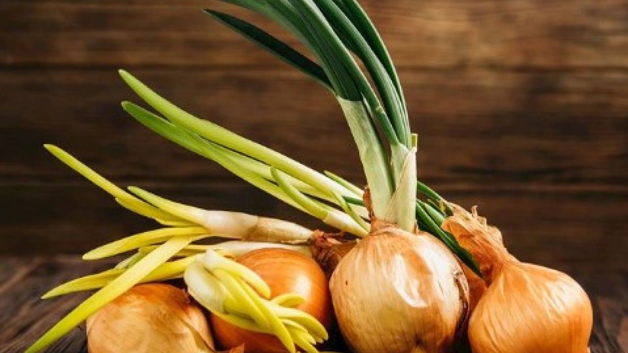 Deneyince farkını göreceksiniz! Soğanı aylarca filizlenmeden saklamanın yöntemi