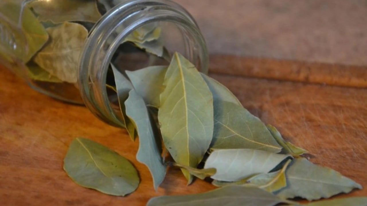 Foto - Deneyince farkını göreceksiniz! Soğanı aylarca filizlenmeden saklamanın yöntemi