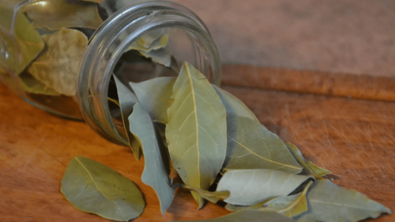 Foto - Deneyince farkını göreceksiniz! Soğanların filizlenmesini önleyen püf nokta