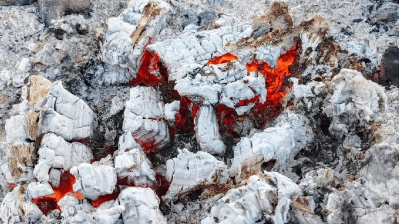 Foto - Deneyince farkını göreceksiniz! Soğanların filizlenmesini önleyen püf nokta