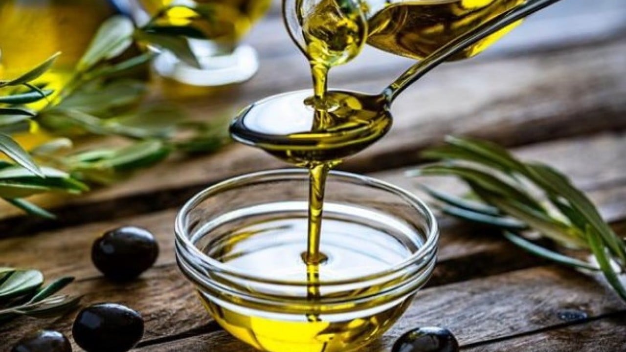 Foto - Dengeli beslenmek için deneyin! İşte uzmanlara göre sağlıklı beslenme tabağı