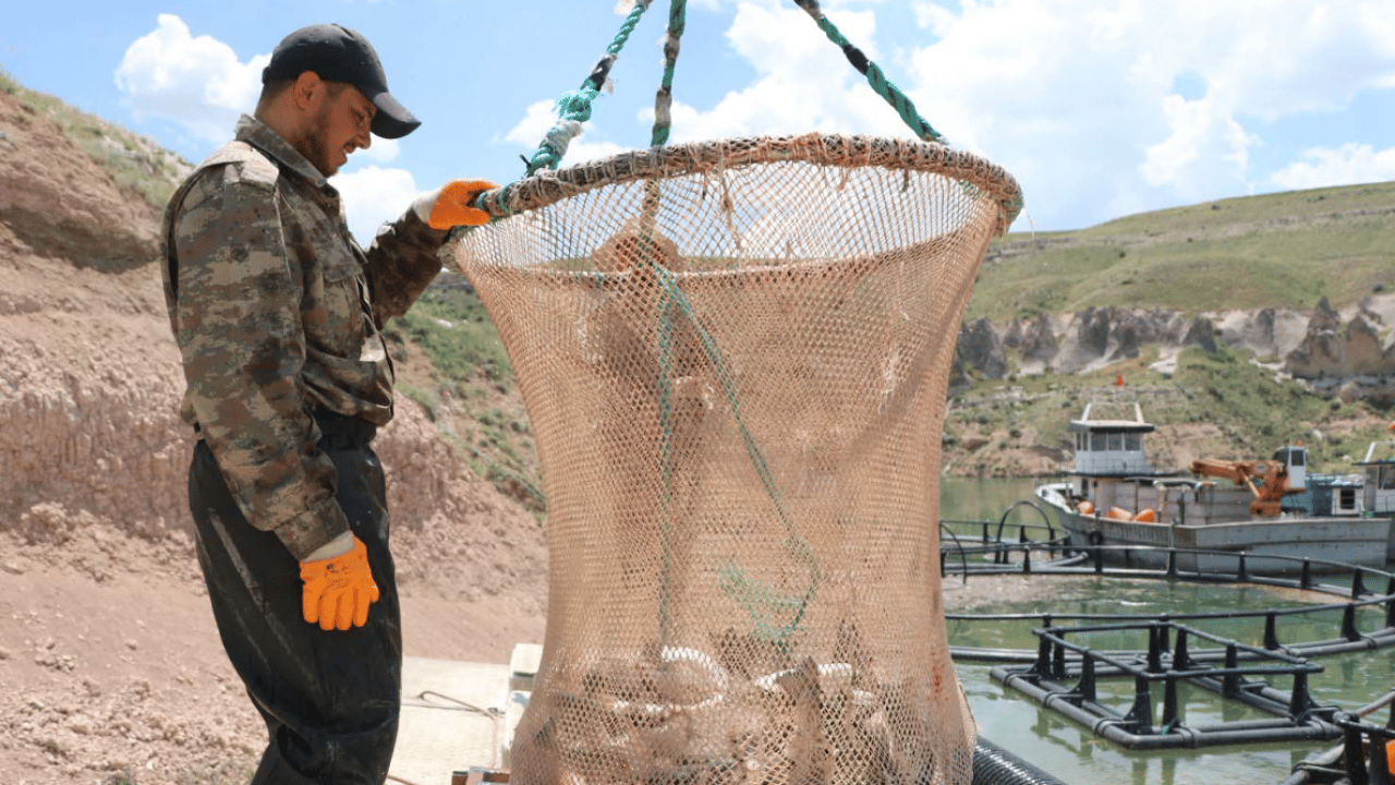 Foto - Denize kıyısı olmayan kentten dev balık ihracatı! 49 ülkeye gönderiliyor