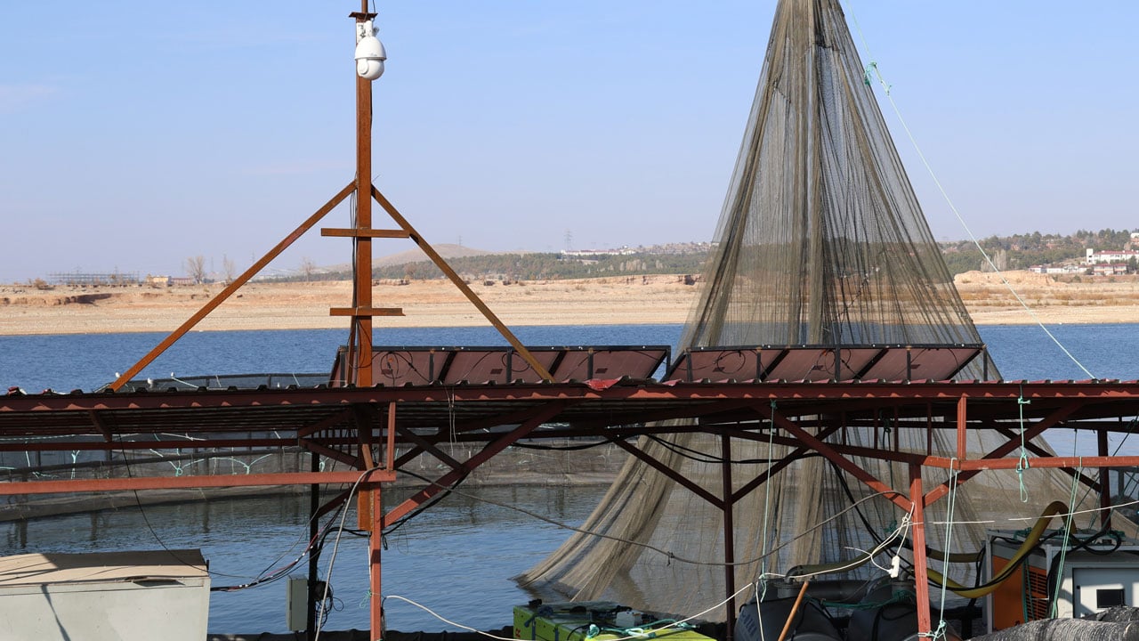 Foto - Denizi olmayan şehirden büyük başarı! Devlet desteğiyle bozkırdan dünyaya