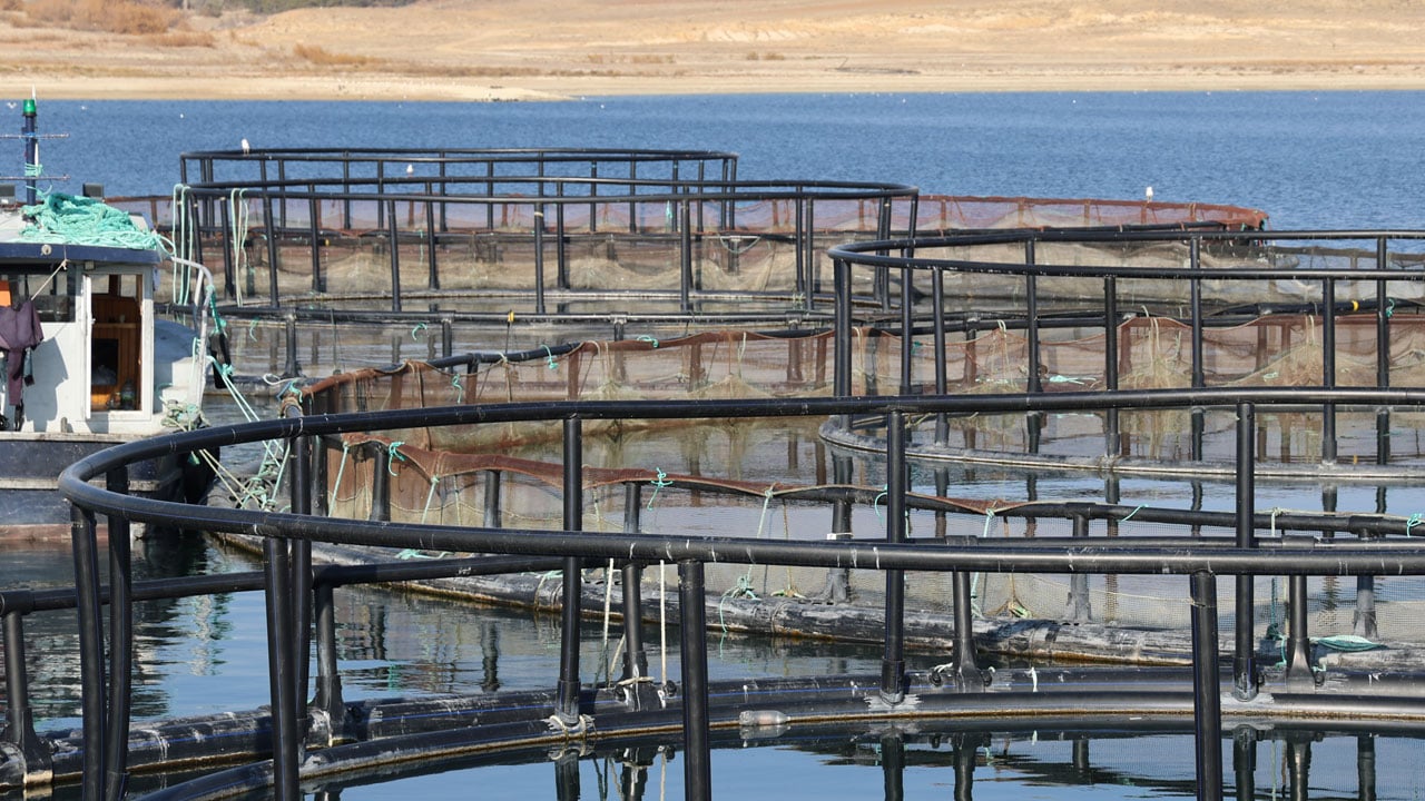 Foto - Denizi olmayan şehirden büyük başarı! Devlet desteğiyle bozkırdan dünyaya