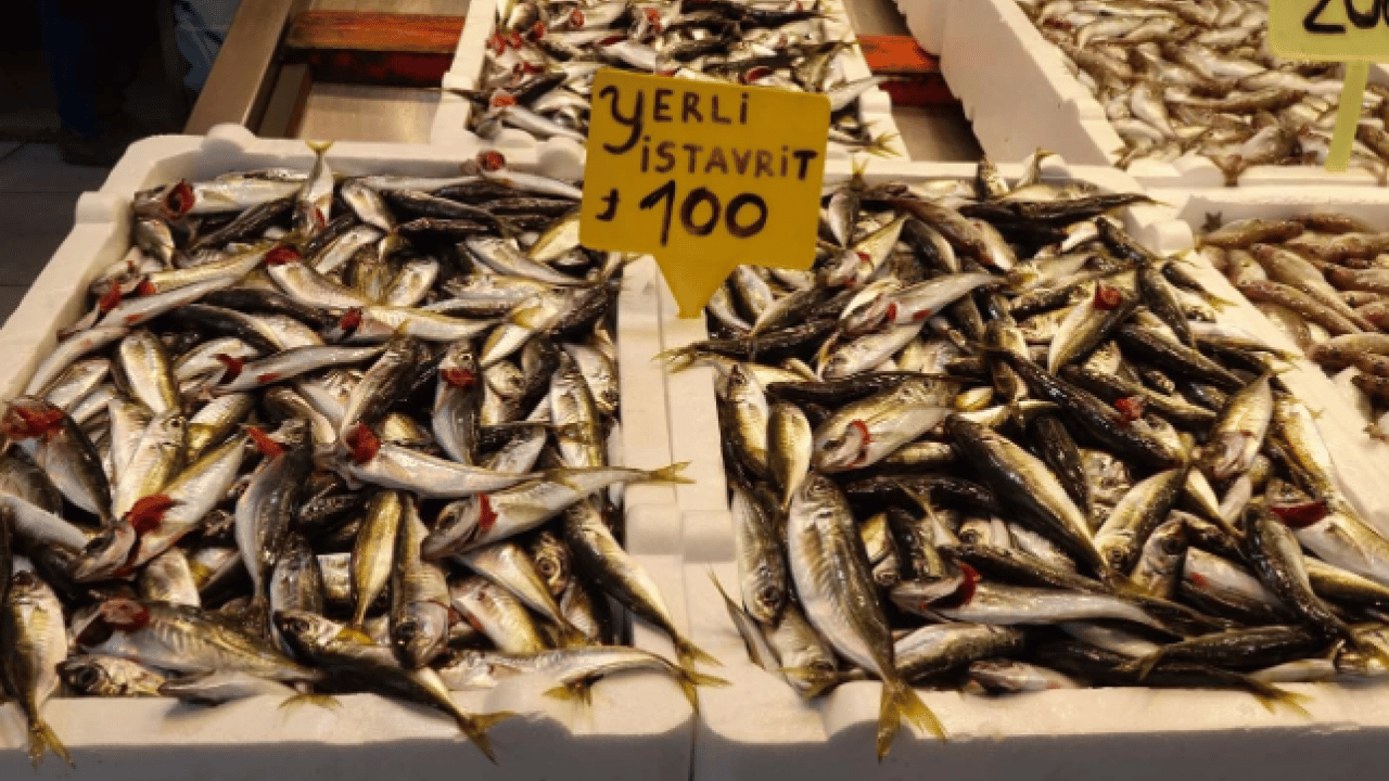 Foto - Denizlerde av yasağı kapıda! Tezgahlar şimdiden hareketlendi