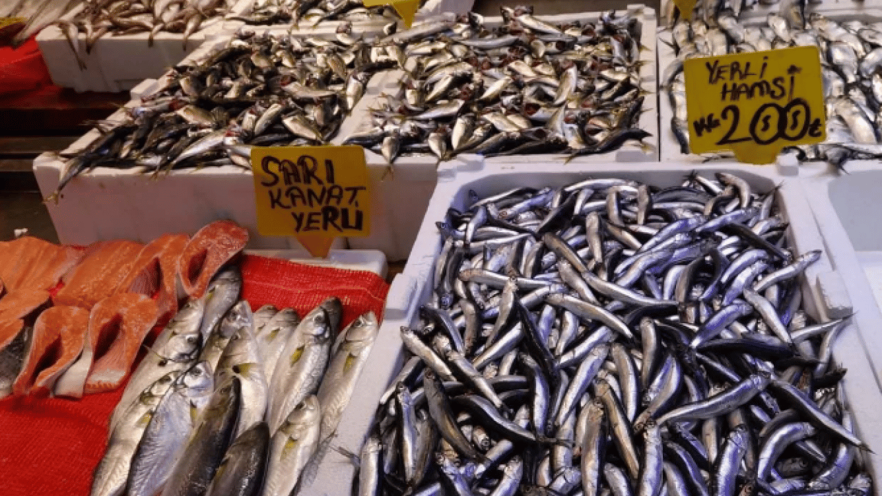 Foto - Denizlerde av yasağı kapıda! Tezgahlar şimdiden hareketlendi