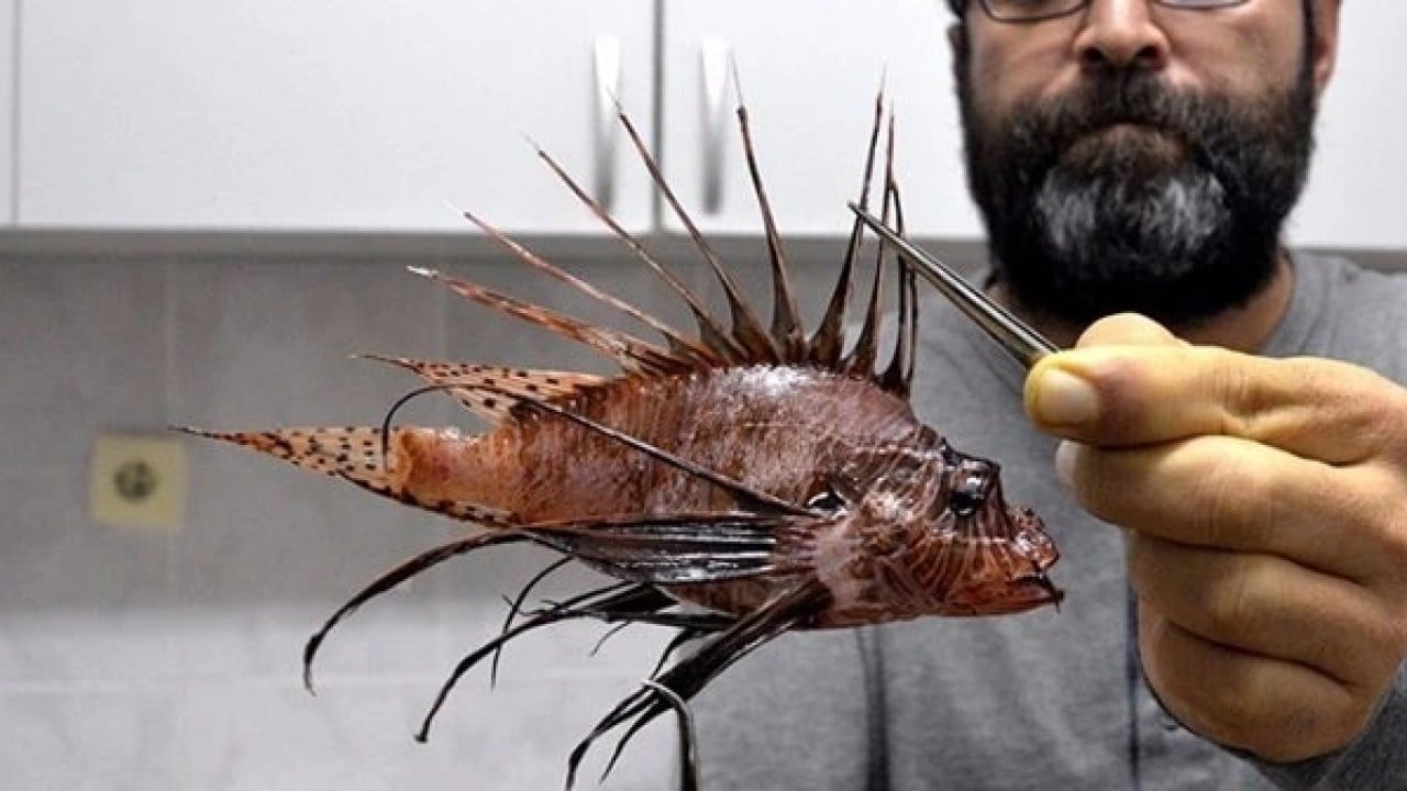 Foto - Denizlerimiz istila altında