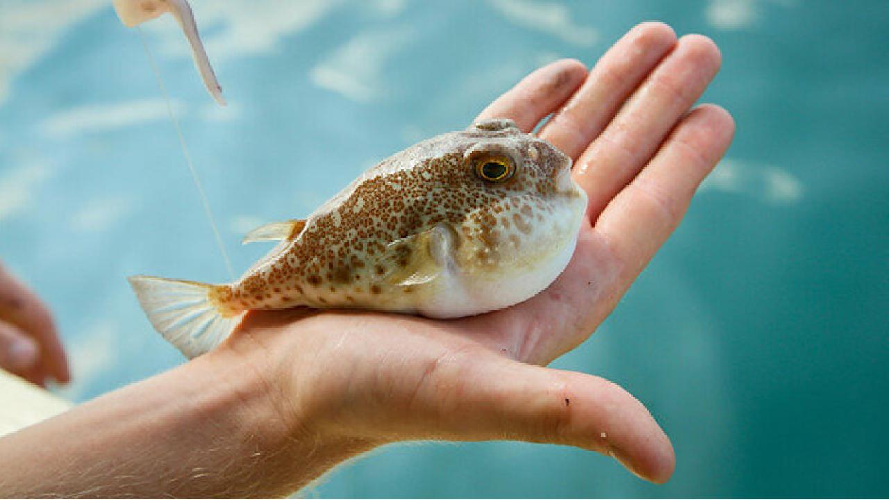 Foto - Denizlerimiz istila altında