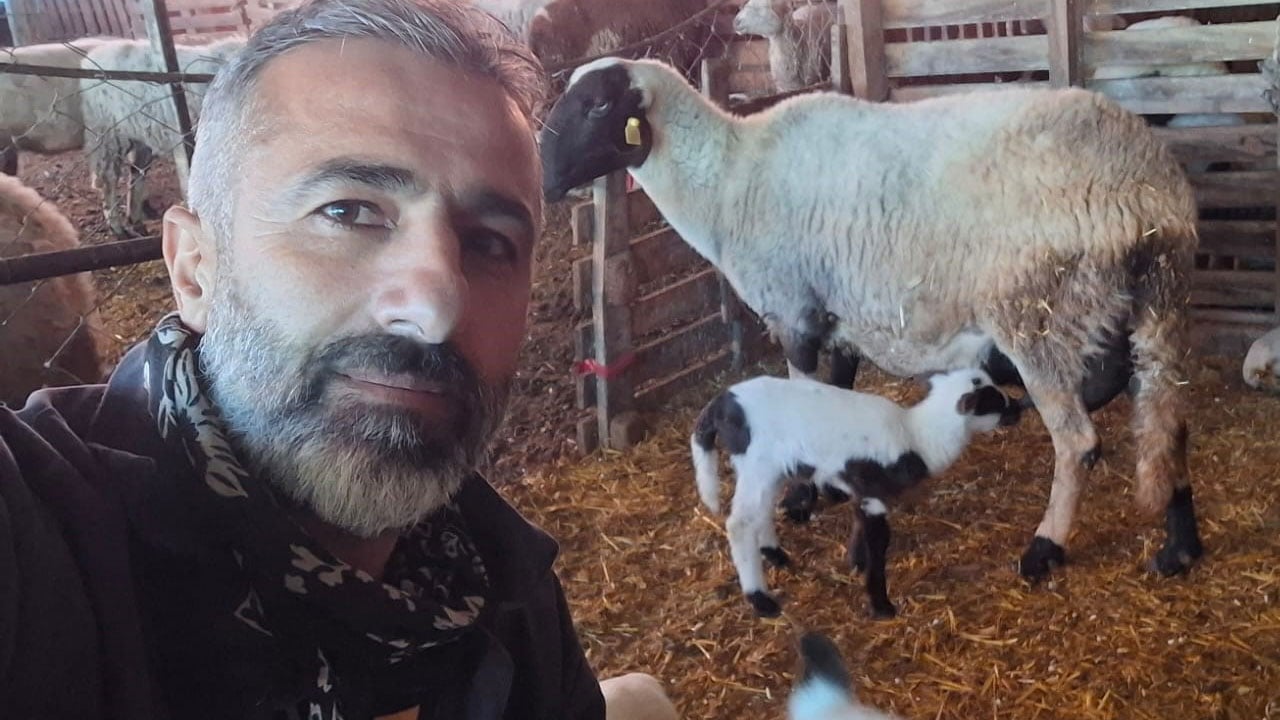 Foto - Denizli’de sakız bereketi! 4 koyunla başladılar, sürüye yetişemiyorlar