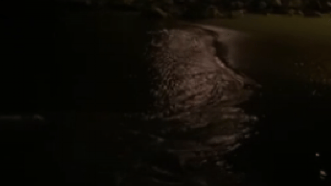 Foto - Depremden yarım saat önce paniğe neden olan olay: Oğlum ne oluyor lan?