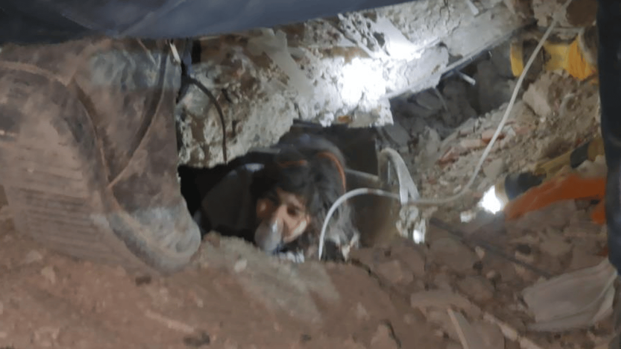 Foto - Depremin izleri siliniyor, hatıralar kalıyor! 40 saatlik direnişin tanığı konuştu: Kedi sesi sandım, enkazdan Aysima çıktı