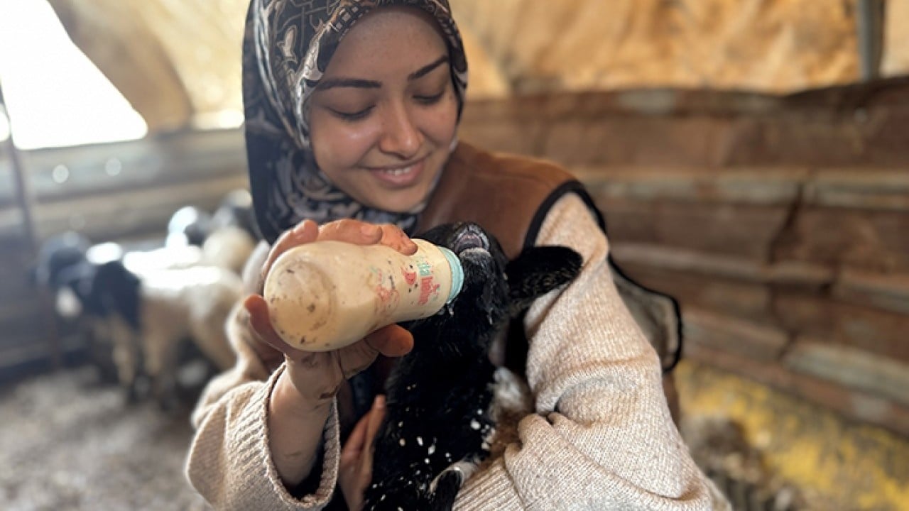Foto - DepremLe kaybettiğini destekle kazandı