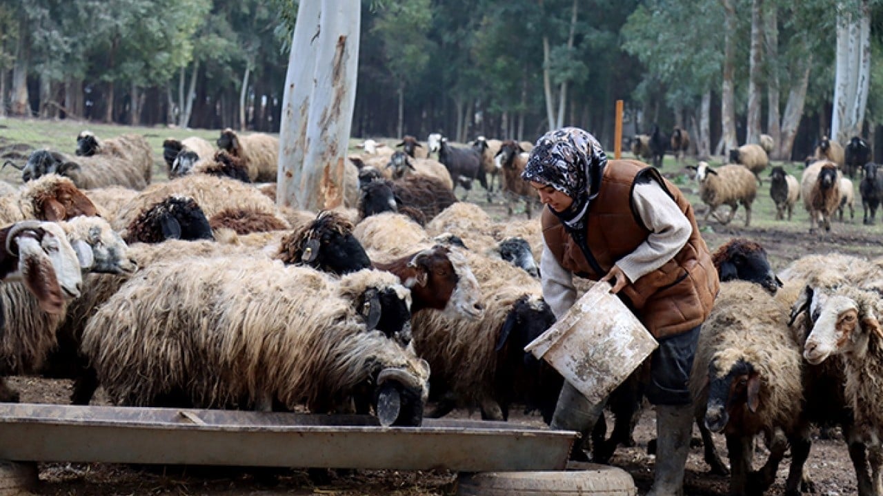 Foto - DepremLe kaybettiğini destekle kazandı