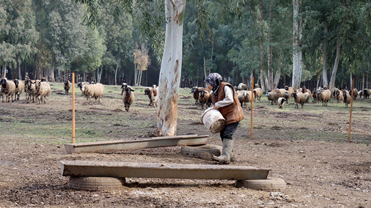 Foto - DepremLe kaybettiğini destekle kazandı
