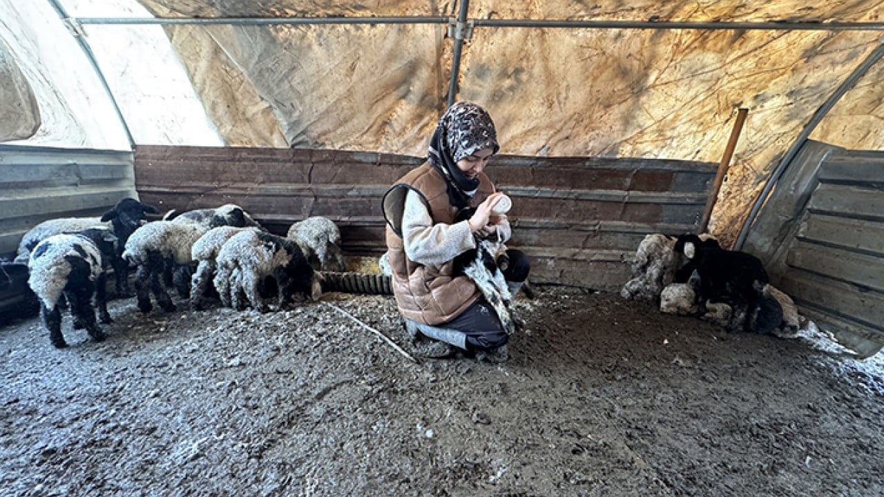 Foto - DepremLe kaybettiğini destekle kazandı