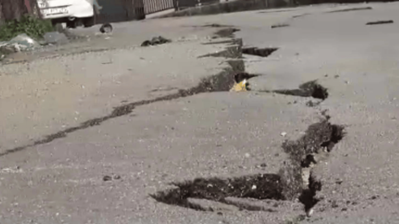 Depremlerin ‘sessiz habercisi’ belli oldu